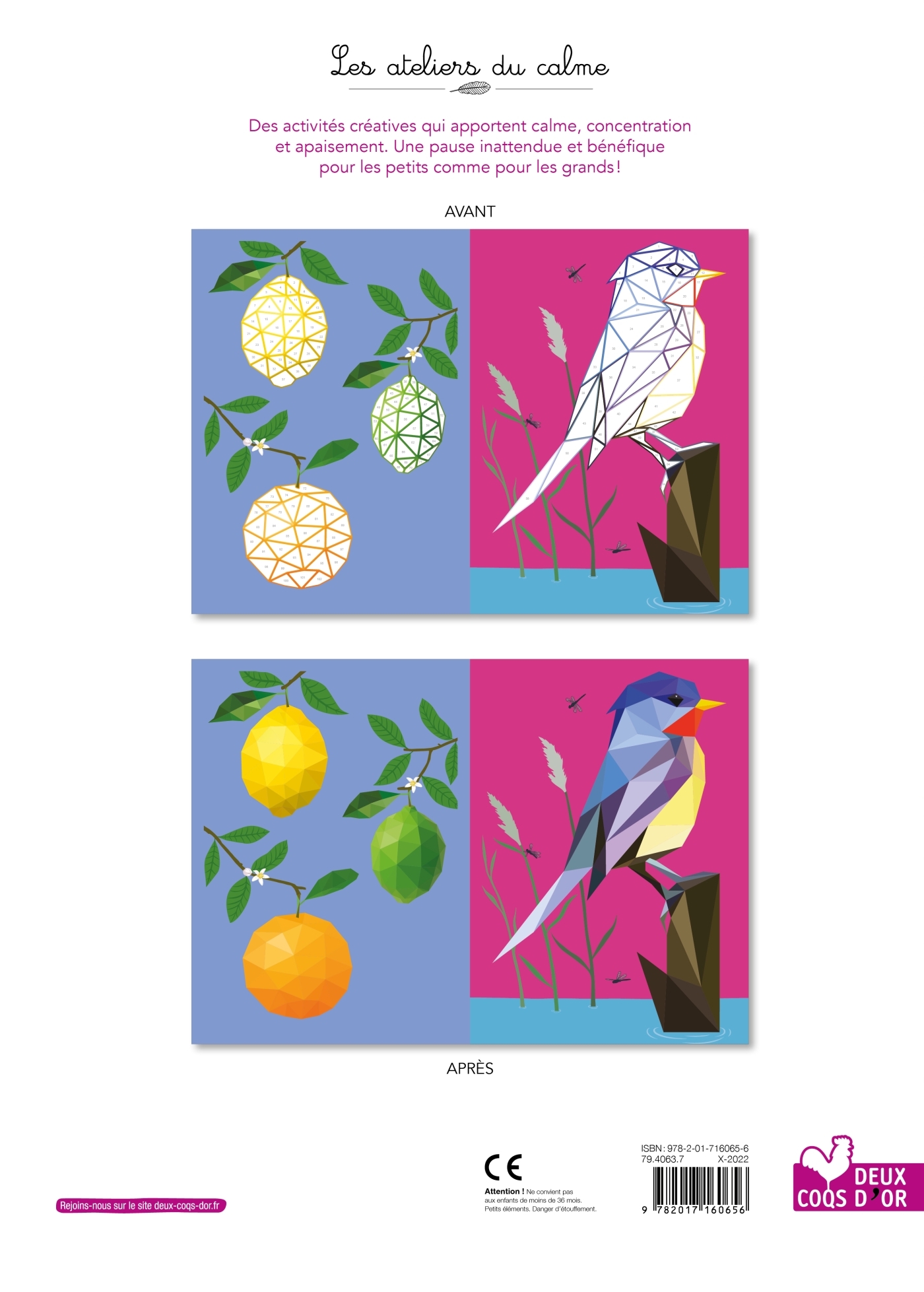 Imaginetrix - cahier avec autocollants - Jack Clucas, Josephine Southon - DEUX COQS D OR